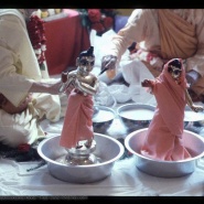 Sri Sri Radha Gopivallabha's Installation