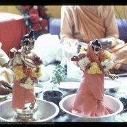 Sri Sri Radha Gopivallabha's Installation